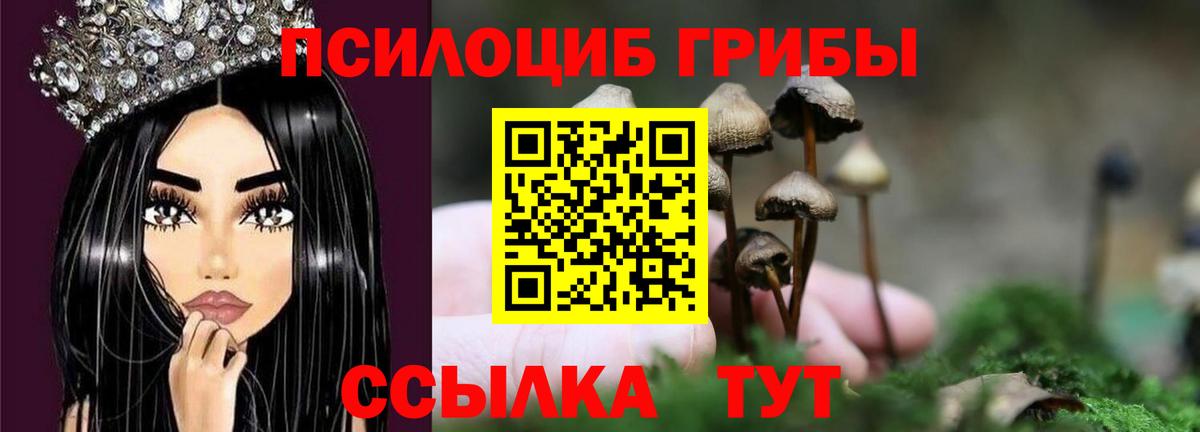 Галлюциногенные грибы прущие грибы  Галлюциногенные грибы GOLDEN TEACHER  даркнет сайт  Отрадное  Вход с VPN 